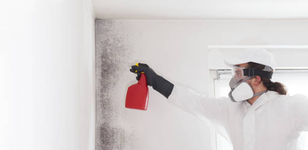 Best Commercial Mold Remediation in Pelican Marsh, FL